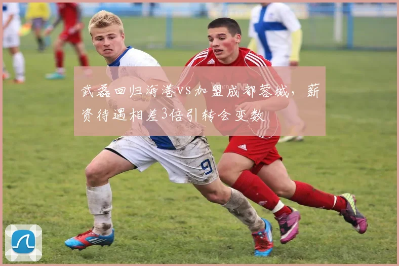 武磊回归海港vs加盟成都蓉城，薪资待遇相差3倍引转会变数